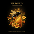 Bee Pollen (Xylocopa sonorina) – Energy, Immune & Endocrine Support, Tincture, Futures ETC