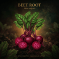 Beet root botanical editorial image with gold serif text
