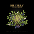 Bilberry (Vaccinium myrtillus) – Vision, Cognitive & Circulatory Support, Tincture, Futures ETC