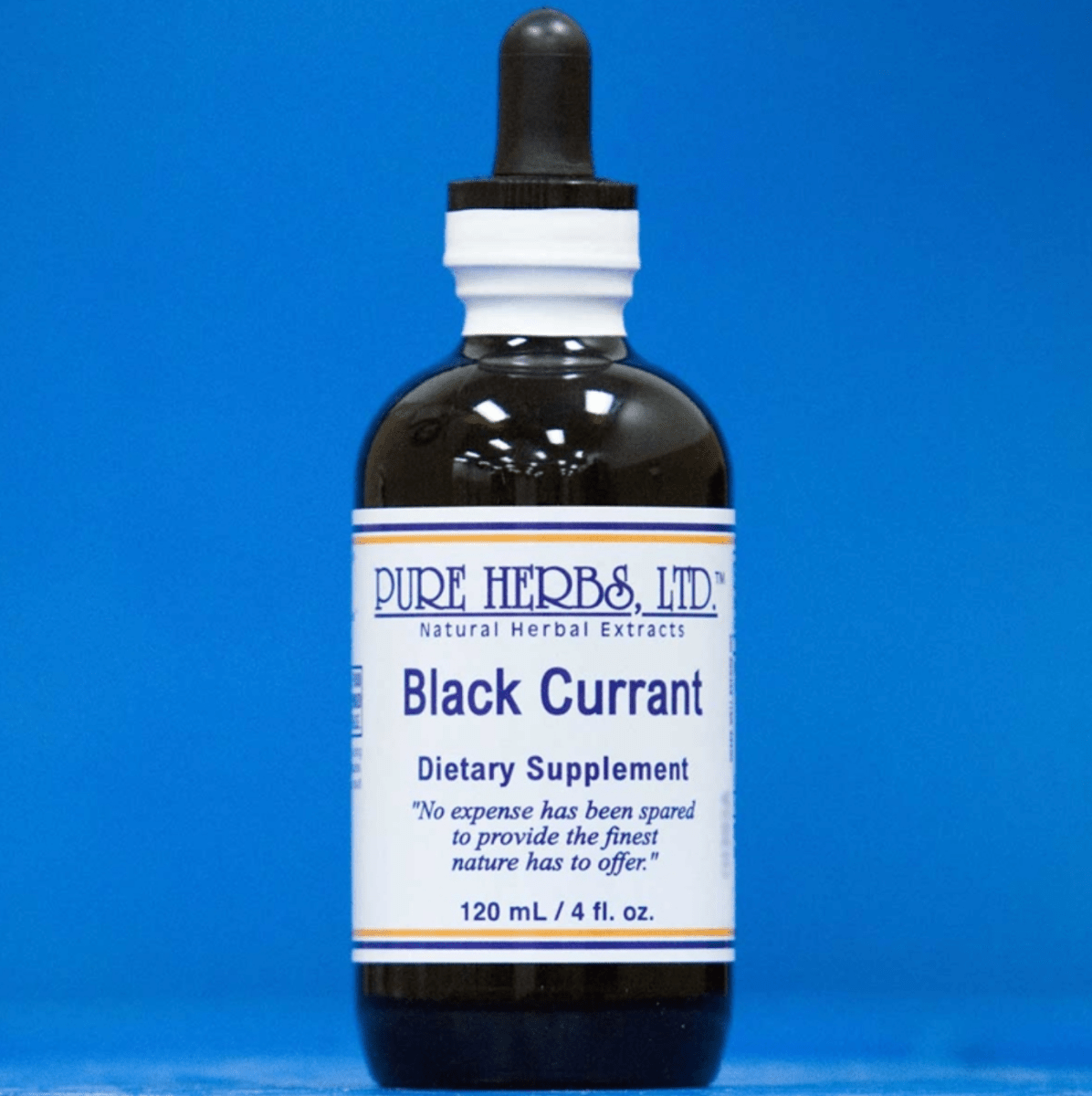 A bottle of Pure Herbs, Ltd. Black Currant dietary supplement, featuring a dark amber glass bottle with a black dropper cap and a white label with blue text, set against a solid blue background.