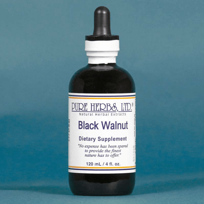 Black Walnut Hulls (Juglans nigra) – Antiparasitic, Digestive & Nerve Support, Tincture, Futures ETC