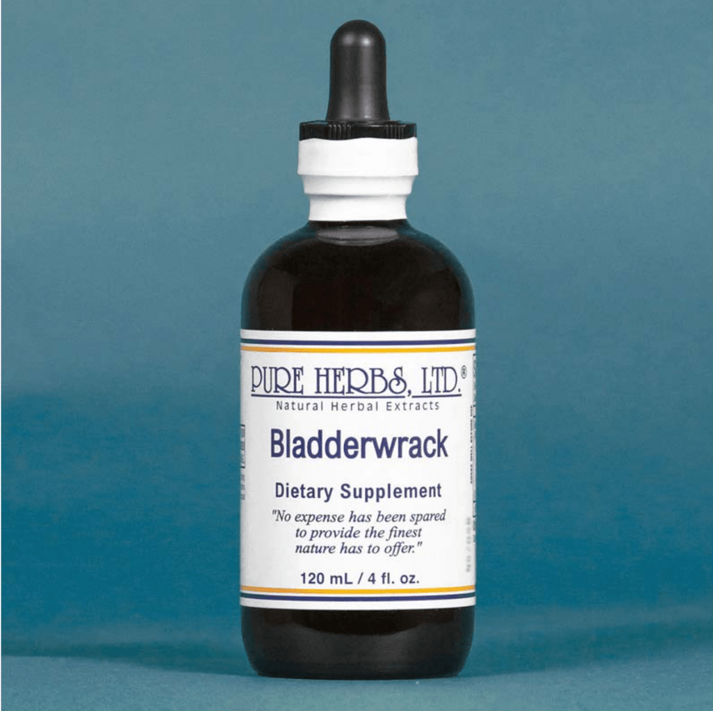 Bladderwrack (Fucus vesiculosus) – Thyroid, Metabolism & Endocrine Support, Tincture, Futures ETC