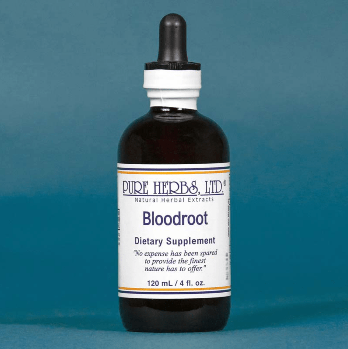 A 120 mL bottle of Pure Herbs Ltd. Bloodroot Dietary Supplement, featuring a dark amber glass bottle with a black dropper cap and a white label, set against a solid blue background.