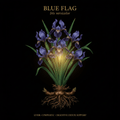 Blue Flag (Iris versicolor) – Liver, Lymphatic & Digestive Detox Support, Tincture, Futures ETC