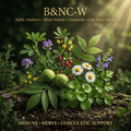 B&NC-W editorial image in golden botanical light