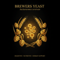 Brewers Yeast (Saccharomyces cerevisiae) – Digestive, Nutritive & Energy Support, Tincture, Futures ETC