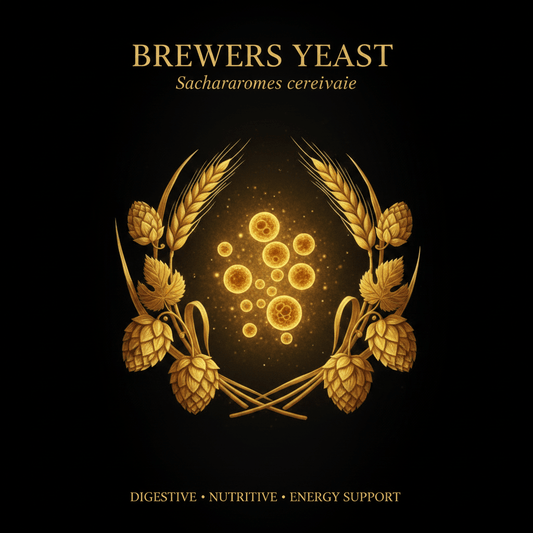 Brewers Yeast (Saccharomyces cerevisiae) – Digestive, Nutritive & Energy Support, Tincture, Futures ETC