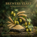 Brewer’s yeast editorial image in golden botanical light