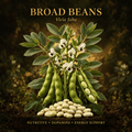 Broad beans botanical editorial image with gold serif text