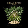 Broad Beans (Phaseolus) – Nutritive, Dopamine & Energy Support, Tincture, Futures ETC