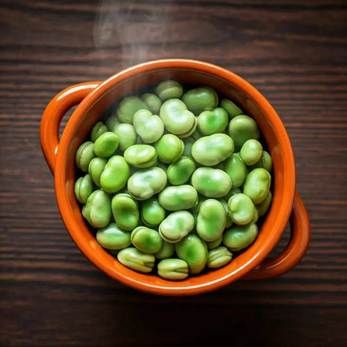 Broad Beans (Phaseolus) - Futures ETC Tincture