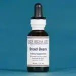 Broad Beans (Phaseolus) - Futures ETC Tincture