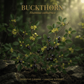 Buckthorn editorial image in golden woodland light