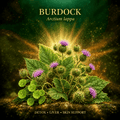 Burdock (Arctium) – Blood Purifier, Liver & Digestive Detox Support, Tincture, Futures ETC
