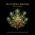 Butcher's Broom (Ruscus aculeatus) – Vascular, Circulatory & Anti-Inflammatory Support, Tincture, Futures ETC