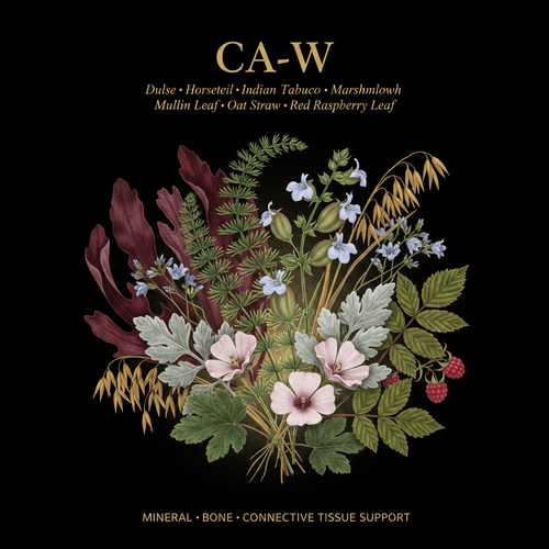 CA - W – Mineral, Bone & Connective Tissue Support | Dulse, Horsetail, Indian Tobacco, Marshmallow, Mullein Leaf, Oat Straw & Red Raspberry Leaf, Tincture, Futures ETC