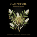 Cajeput Oil (Melaleuca cajuputi) – Respiratory, Antimicrobial & Pain Relief Support, Tincture, Futures ETC