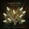Cajeput oil botanical editorial image with gold serif text