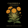 Calendula (Calendula officinalis) – Digestive, Skin & Anti-Inflammatory Support, Tincture, Futures ETC