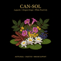 Can - Sol (Reformulated) – Antifungal, Digestive & Immune Support | Lapacho, Oregon Grape & White Pond Lily, Tincture, Futures ETC