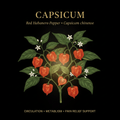 Capsicum (Red Habanero Pepper) – Circulation, Metabolism & Pain Relief Support, Tincture, Futures ETC
