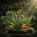 CCE-W editorial image in golden botanical light