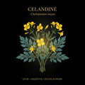 Celandine (Chelidonium majus) – Liver, Gallbladder & Circulatory Support, Tincture, Futures ETC