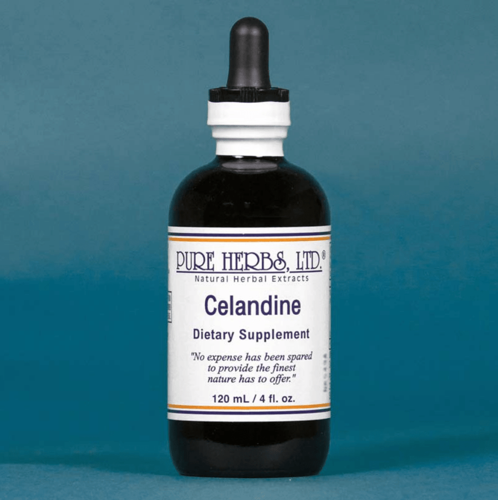 A bottle of Pure Herbs, Ltd. Celandine dietary supplement, featuring a dark amber glass bottle with a black dropper cap and a white label, set against a solid teal-blue background.