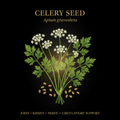 Celery Seed (Apium graveolens), Tincture, Futures ETC