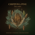 Chippewa pine botanical editorial image with gold serif text