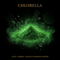 Chlorella – Detox, Immune & Nutritive Superfood Support, Tincture, Futures ETC