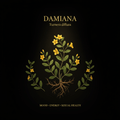 Damiana (Turnera diffusa) – Mood, Energy & Sexual Health Support, Tincture, Futures ETC