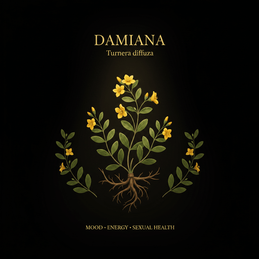 Damiana (Turnera diffusa) – Mood, Energy & Sexual Health Support, Tincture, Futures ETC
