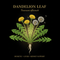 Dandelion Leaf (Taraxacum) – Liver Detox, Nerve & Nutritive Support, Tincture, Futures ETC