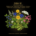 DB8 - W – Blood Sugar, Digestive & Immune Support | 8 - Herb Blend, Tincture, Futures ETC