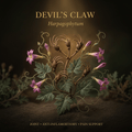 Devil’s claw botanical editorial image with gold serif text