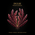 Dulse (Palmaria palmata) – Thyroid, Mineral & Endocrine Support, Tincture, Futures ETC