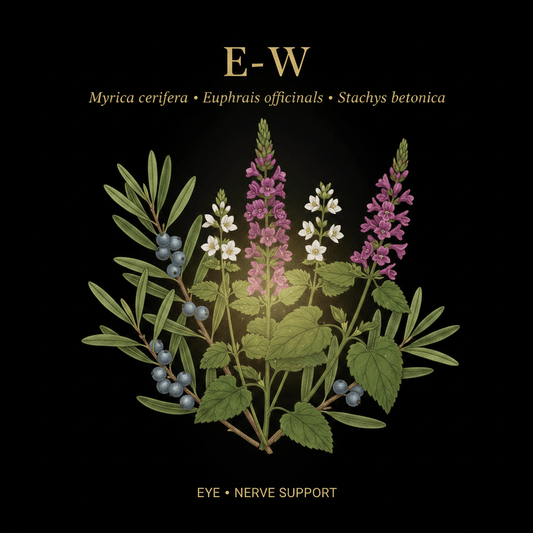 E-W – Eye & Nerve Support | Bayberry, Eyebright & Wood Betony, Tincture, Futures ETC