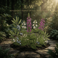 E-W editorial image in golden botanical light
