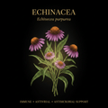 Echinacea – Immune Boost, Antiviral & Anti - Inflammatory Support, Tincture, Futures ETC