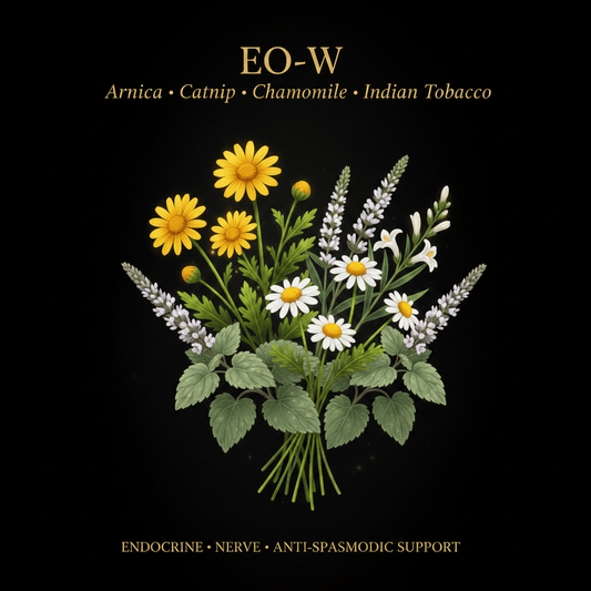 EO - W – Endocrine, Nerve & Anti - Spasmodic Support | Arnica, Catnip, Chamomile & Indian Tobacco, Tincture, Futures ETC