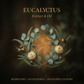 Eucalyptus editorial botanical image with gold serif text