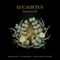 Eucalyptus Extract & Oil – Respiratory, Antimicrobial & Decongestant Support, Tincture, Futures ETC