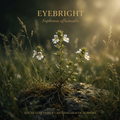 Eyebright editorial image in golden meadow light