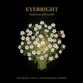 Eyebright (Euphrasia officinalis) – Eye Health, Sinus & Anti-Inflammatory Support, Tincture, Futures ETC