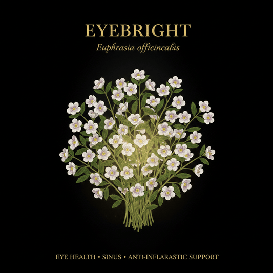 Eyebright (Euphrasia officinalis) – Eye Health, Sinus & Anti-Inflammatory Support, Tincture, Futures ETC