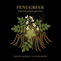 Fenugreek (Trigonella foenum graecum) – Digestive, Blood Sugar & Hormonal Support, Tincture, Futures ETC