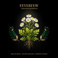 Feverfew (Tanacetum parthenium) – Migraine Relief & Anti - Inflammatory Support, Tincture, Futures ETC