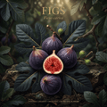 Figs editorial image in golden orchard light