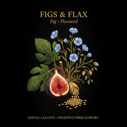 Figs & Flax – Gentle Laxative & Digestive Fiber Support, Tincture, Futures ETC